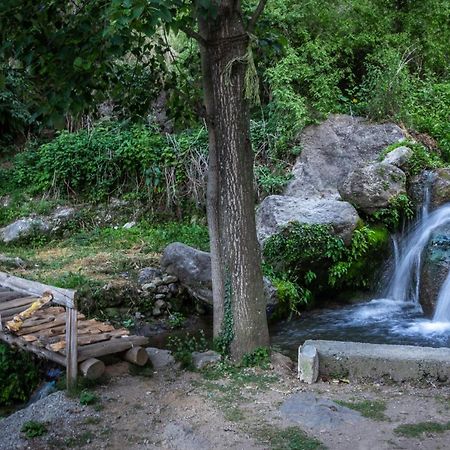 Babutaal Resort Chakrata Exterior photo